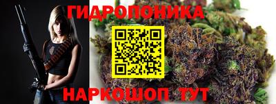 гашик Гусь-Хрустальный