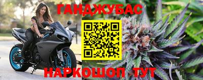 гашик Гусь-Хрустальный
