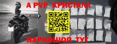 твердый Гусев