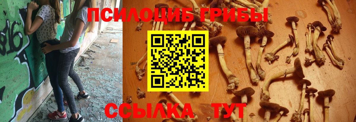 Псилоцибиновые грибы мицелий  закладки  Кандалакша  Вход с VPN 